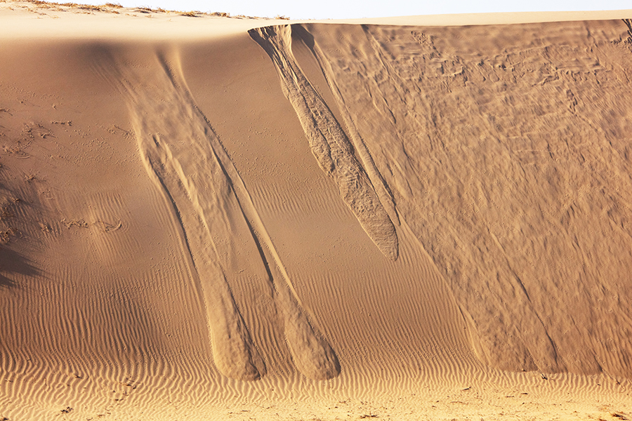 최용백 사진전- 사구, 대청도 모래사막 그리고 신두리 모래언덕 